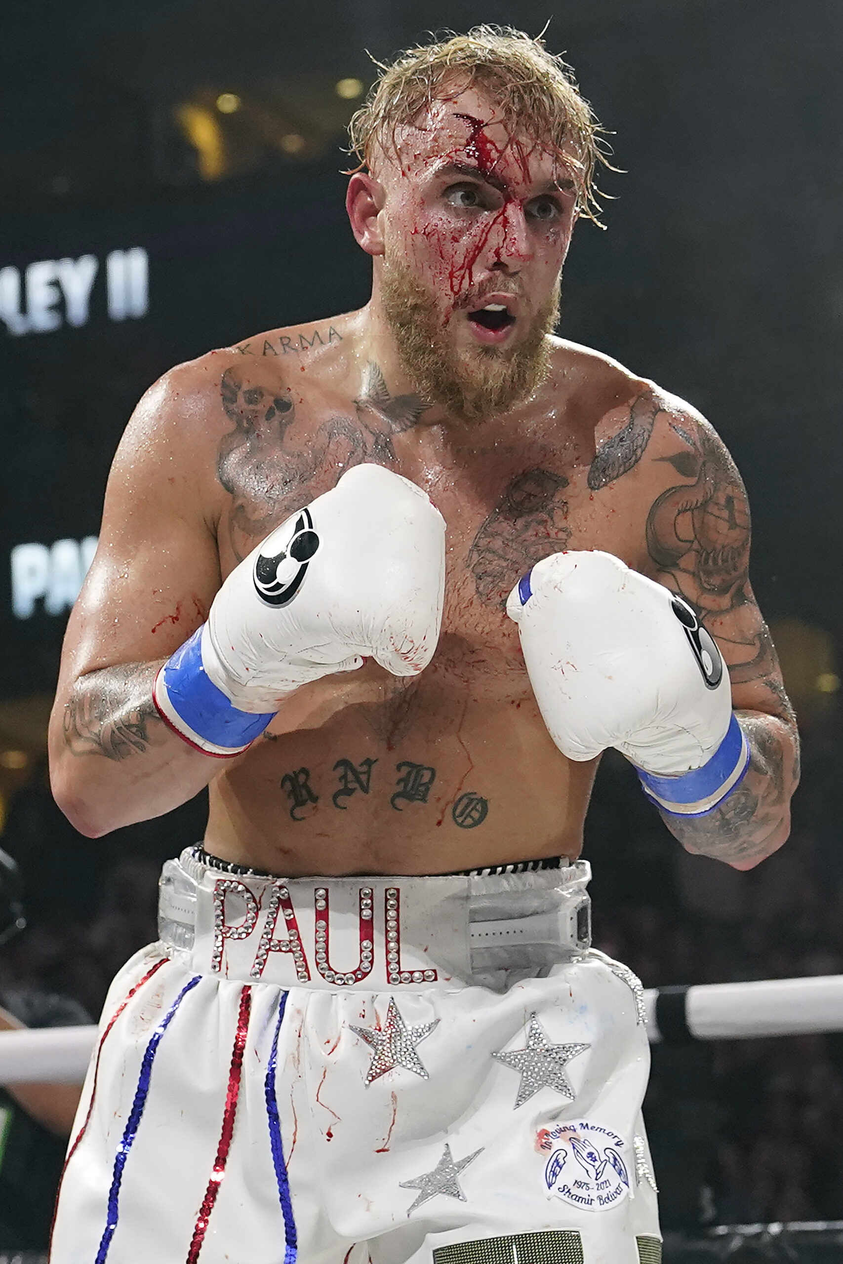 WBO world champion hails Jake Paul as better than most boxers